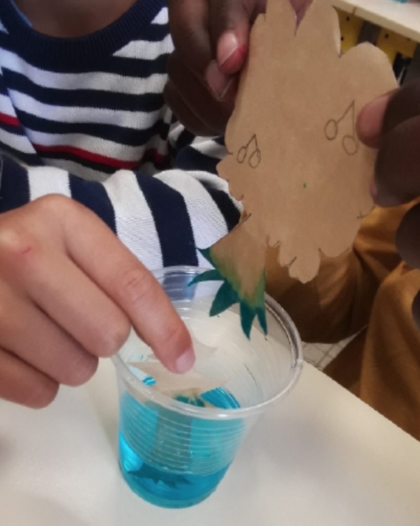 La capillarité quésaco