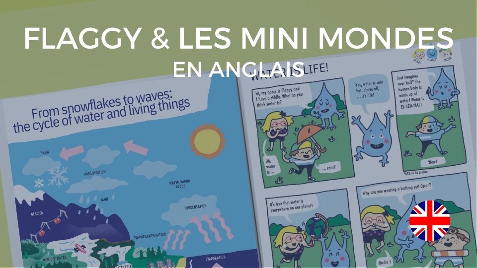 holiday notebook mini mondes et flaggy water family outil pedagogique cahier de vacances
