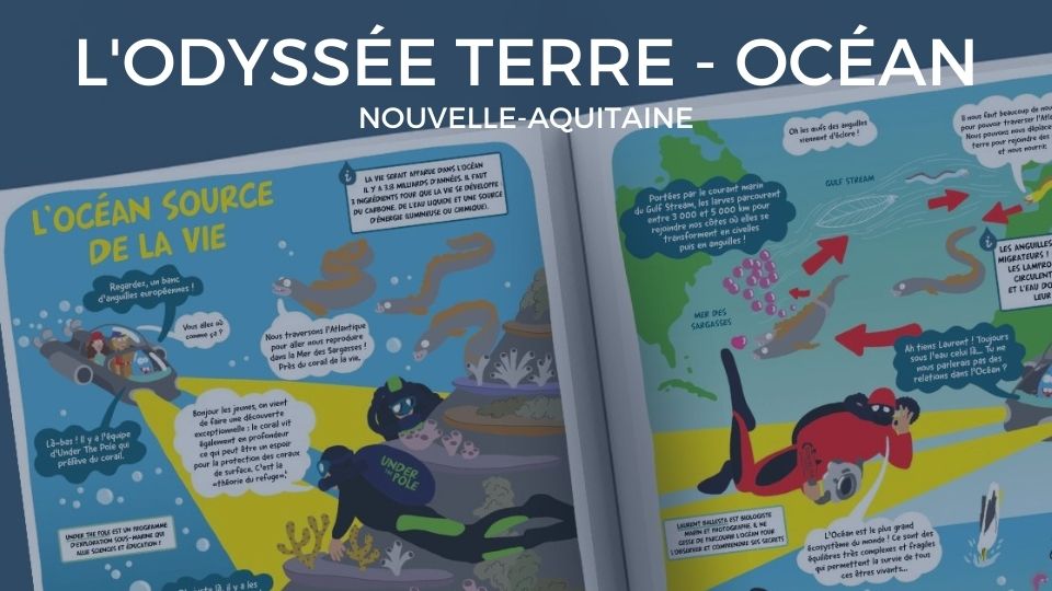ressource pedagogique odyssée terre ocean nouvelle aquitaine water family nouvelle aquitaine