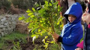plantation arbre fruitier bretagne waterfamily