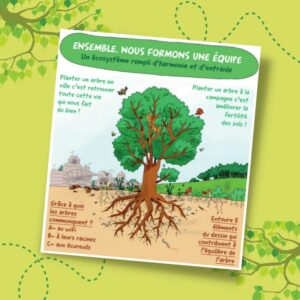 Infographie Arbre, Sol, Eau et l'ecosystème de l'arbre