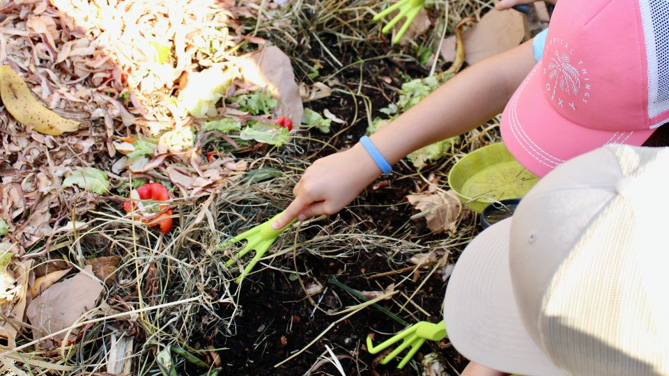 Apprendre à faire un compost avec des bio-déchets