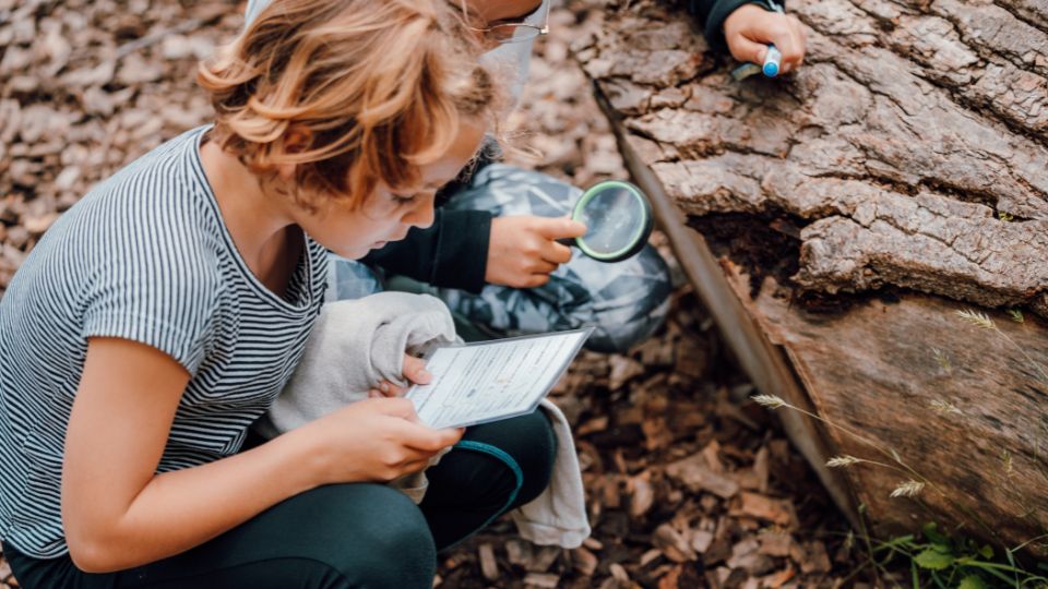 Enfants observant à la loupe et identifiant les insectes qu'ils trouvent sur un arbre et sur le sol.