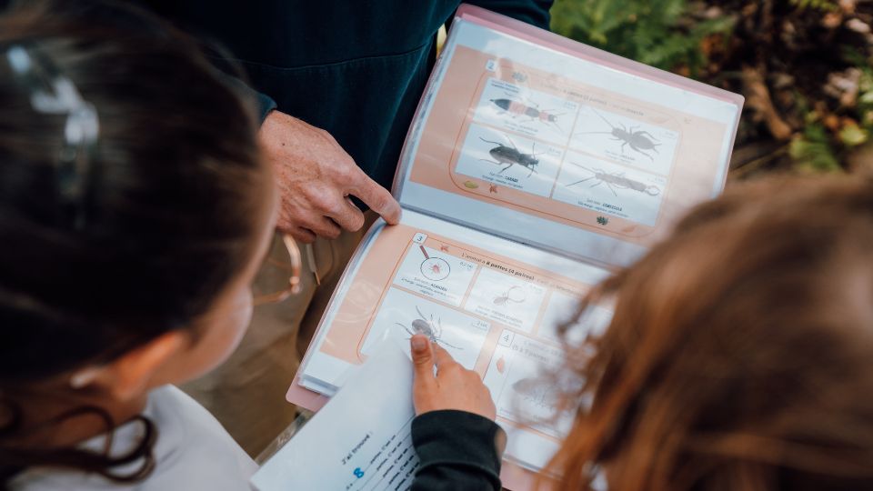 Livret de reconnaissance des êtres vivants du sol, développé pour la Water Forest School