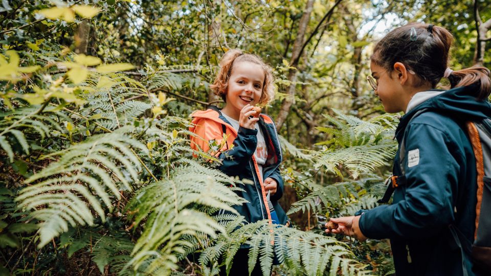 Jeu ludique dans la forêt pendant une séance Water Forest School en Vendée.