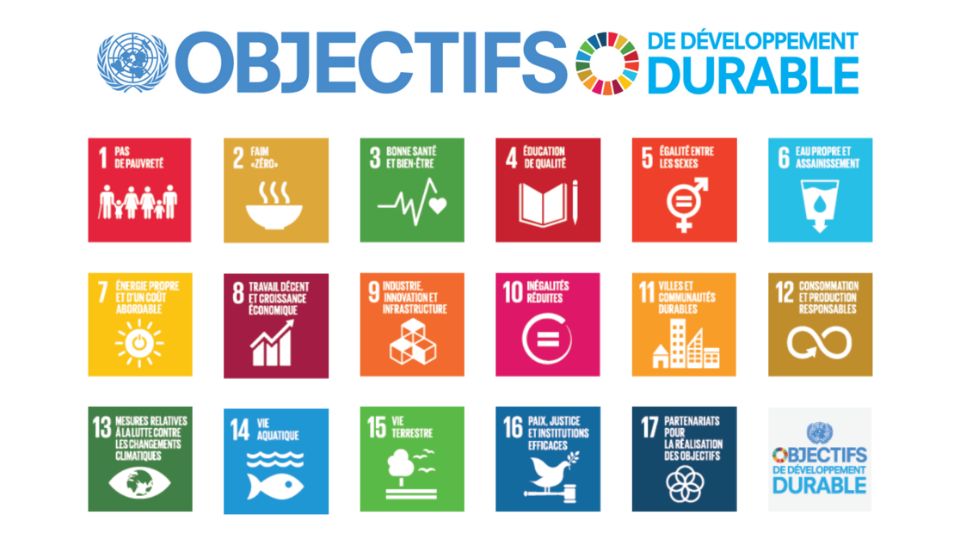 Les 17 objectifs de développement durable qui posent un cadre de référence pour l'éducation au développement durable