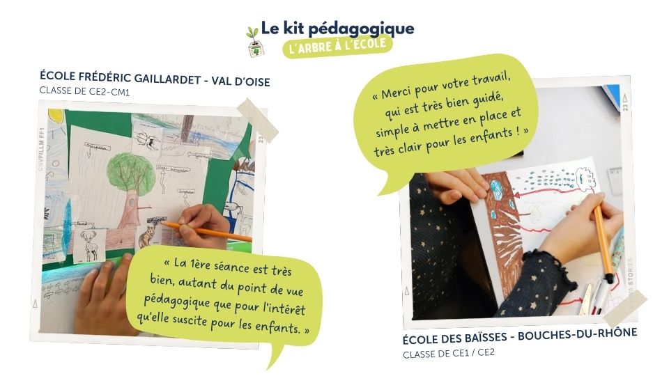 Témoignages d'enseignants sur le kit pédagogique L'arbre à l'école