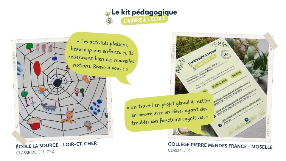 Témoignages d'enseignants sur le kit pédagogique L'arbre à l'école