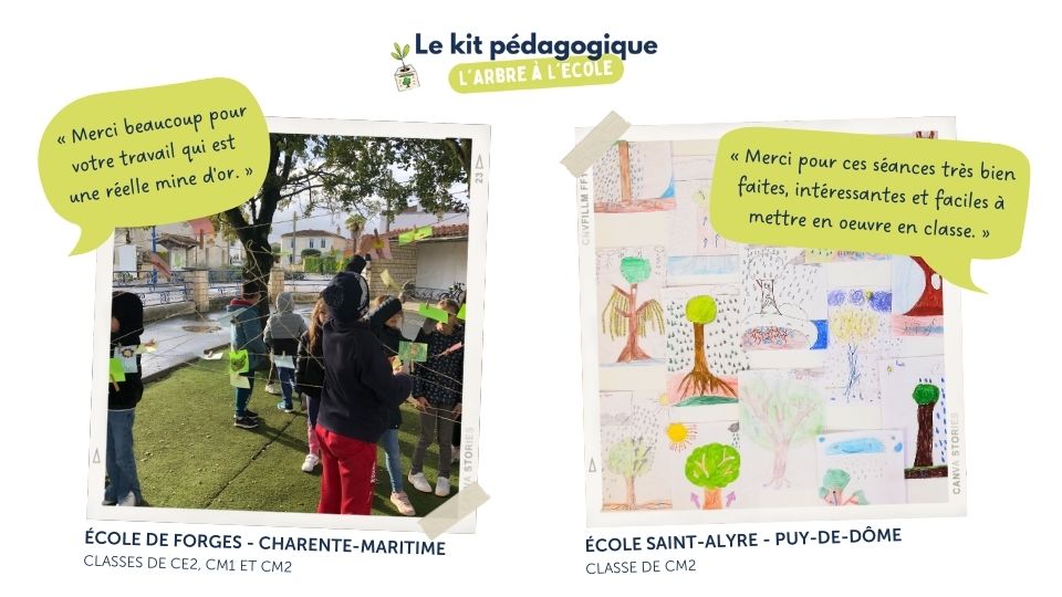 Témoignages d'enseignants sur le kit pédagogique L'arbre à l'école