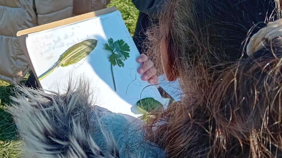 ATE sur la ville d'Agen 2023-2025 - herbier avce les plantes locales
