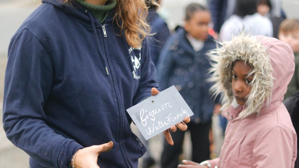 plantation d'arbres dans la Finistère avec les élèves