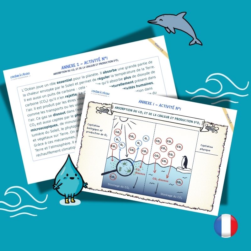 Séance 5 – Kit pédagogique l’Océan à l’École – Image 2