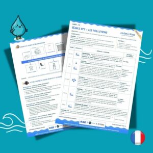 Séance 7 - Les pollutions