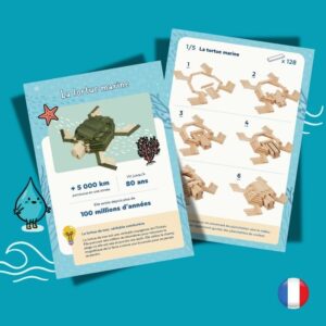 Cartes de Construction - KAPLA