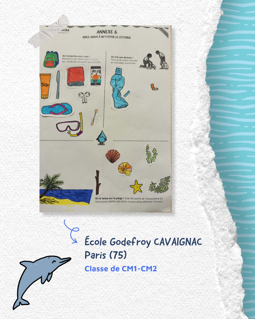 Créations kit pédagogiques l'Océan à l'École 7